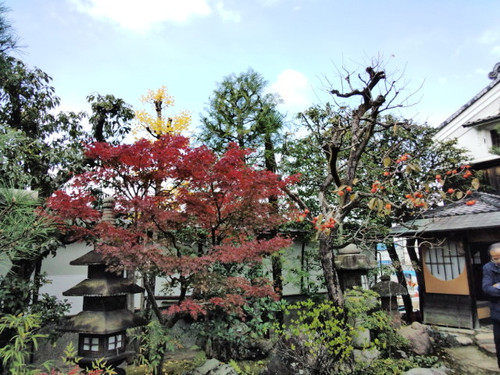 大橋邸・京都伏見
