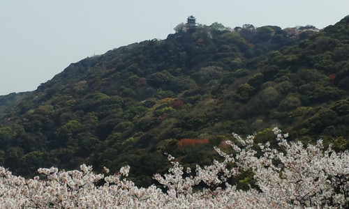 洲本城