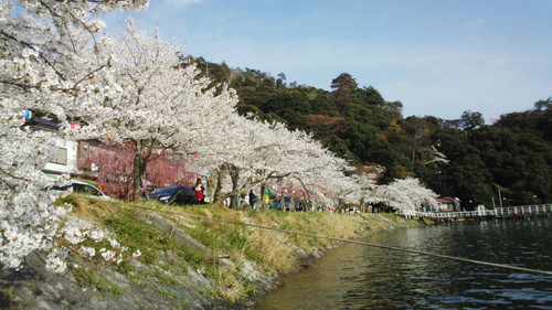 琵琶湖沿岸
